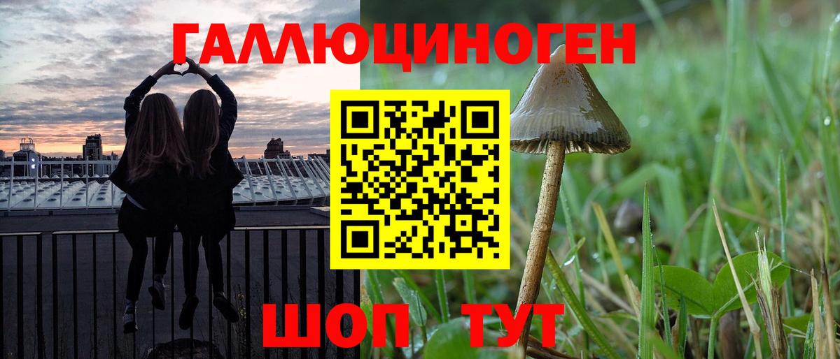 Сланцы  Галлюциногенные грибы MAGIC MUSHROOMS  Псилоцибиновые грибы мухоморы  Вход с VPN 